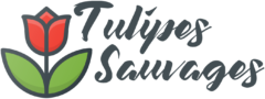 Tulipes Sauvages