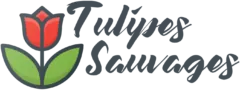 Tulipes Sauvages