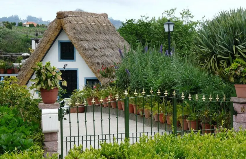 Des conseils pour transformer votre jardin