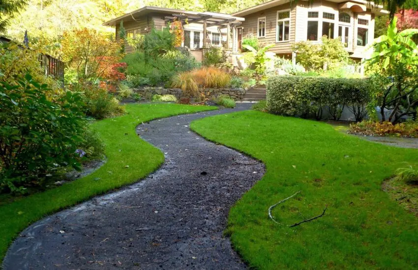 Des conseils pour aménager un jardin tropical