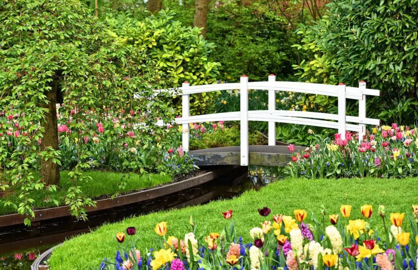 Aménager un jardin écologique