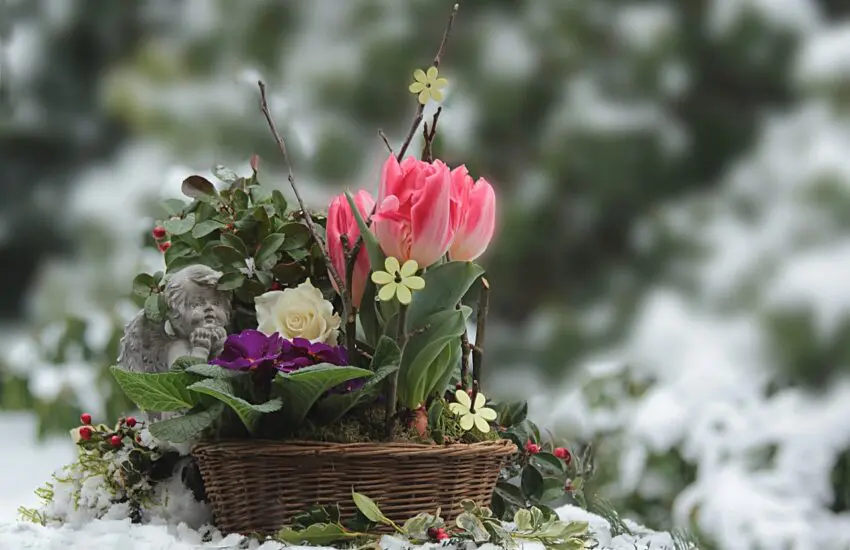 Conseils d'aménagement de jardin
