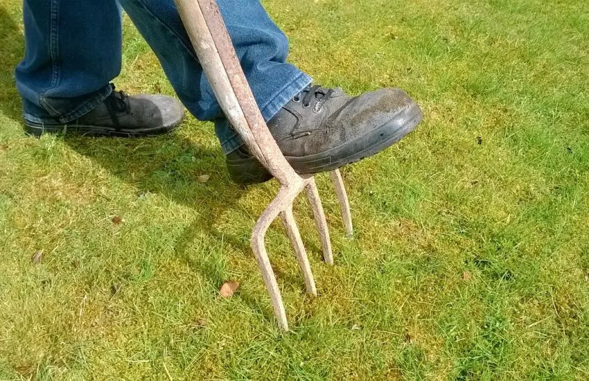 Drainage du jardin