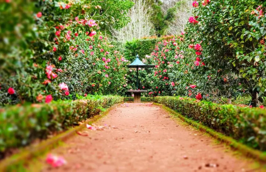 Des conseils pour aménager son jardin