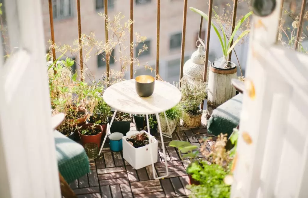 Les bienfaits des plantes de balcon