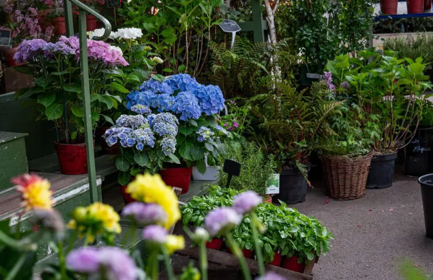 Idées cadeaux pour les jardiniers