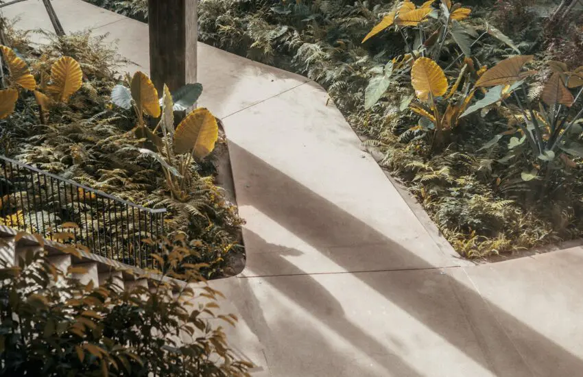 Les plantes dépolluantes