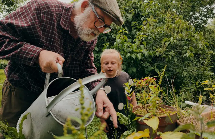 Le jardinage à l'année