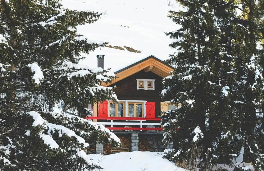 Les effets de la neige sur le jardin