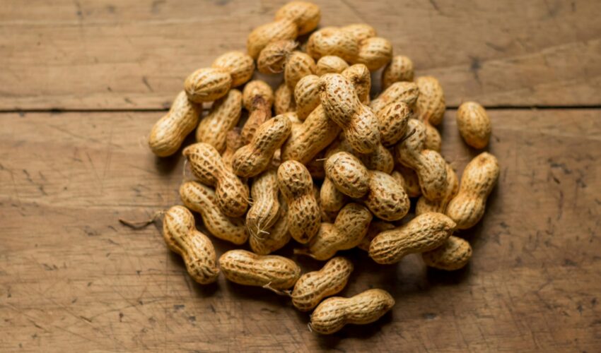 Cultiver ses cacahuètes