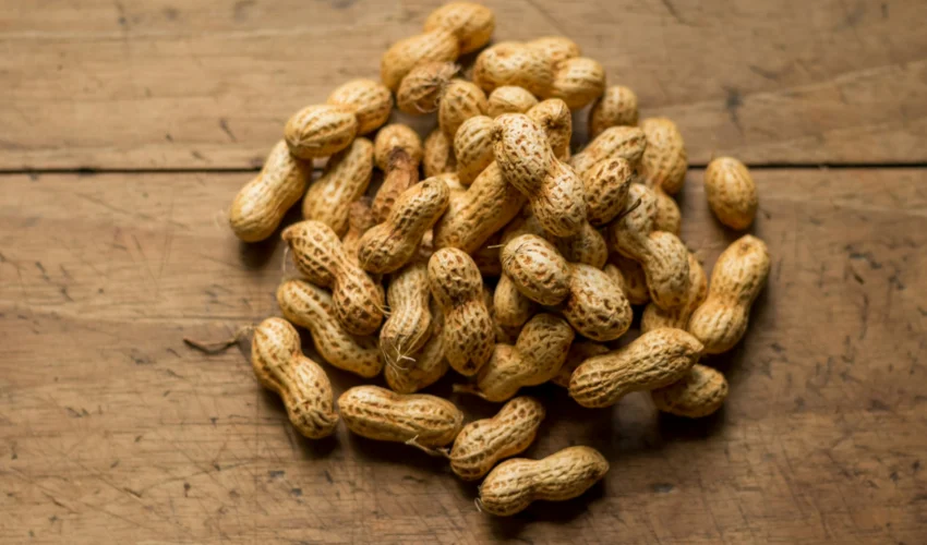Cultiver ses cacahuètes
