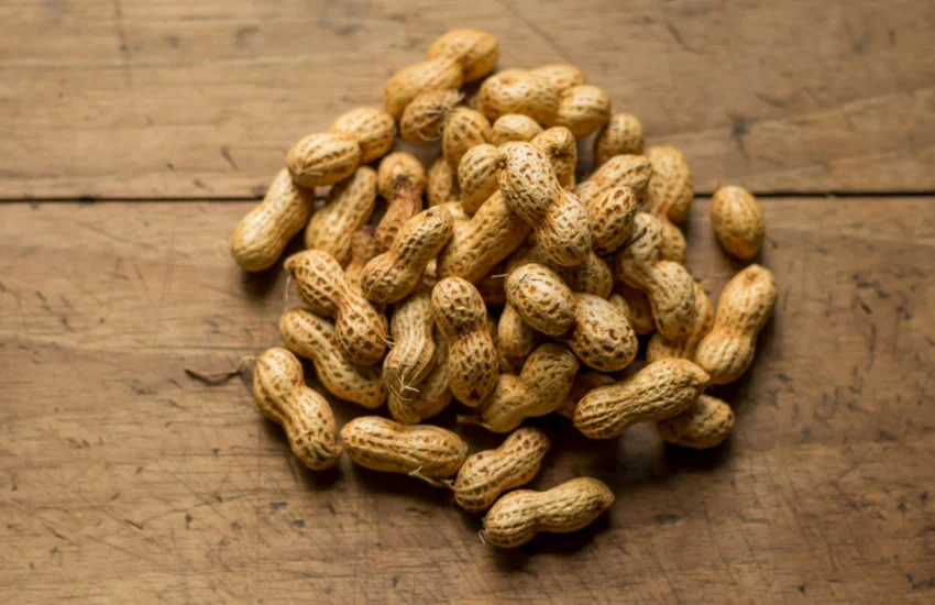 Cultiver ses cacahuètes