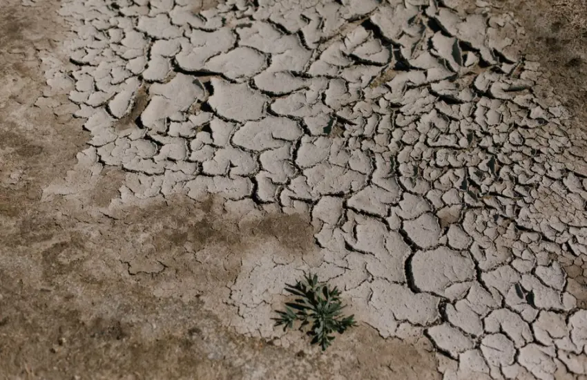 From above of rough soil with cracks formed from lack of water in hot uninhabited wilderness