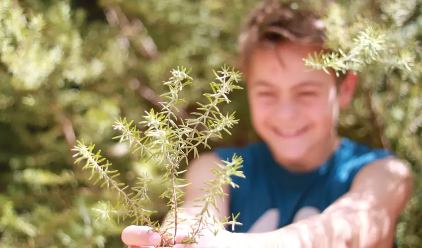 Plantes sauvages toxiques au jardin : protéger enfants et animaux