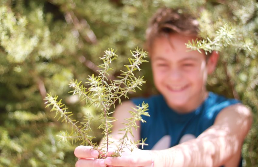 Plantes sauvages toxiques au jardin : protéger enfants et animaux