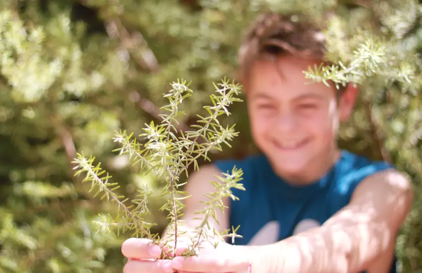 Plantes sauvages toxiques au jardin : protéger enfants et animaux