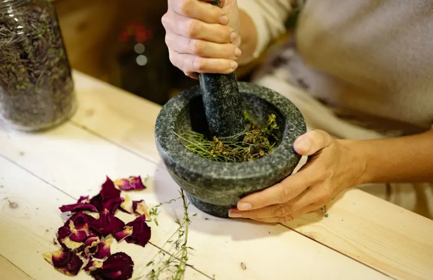 A person grinding herbal ingredients in a stone mortar and pestle with dried petals nearby.